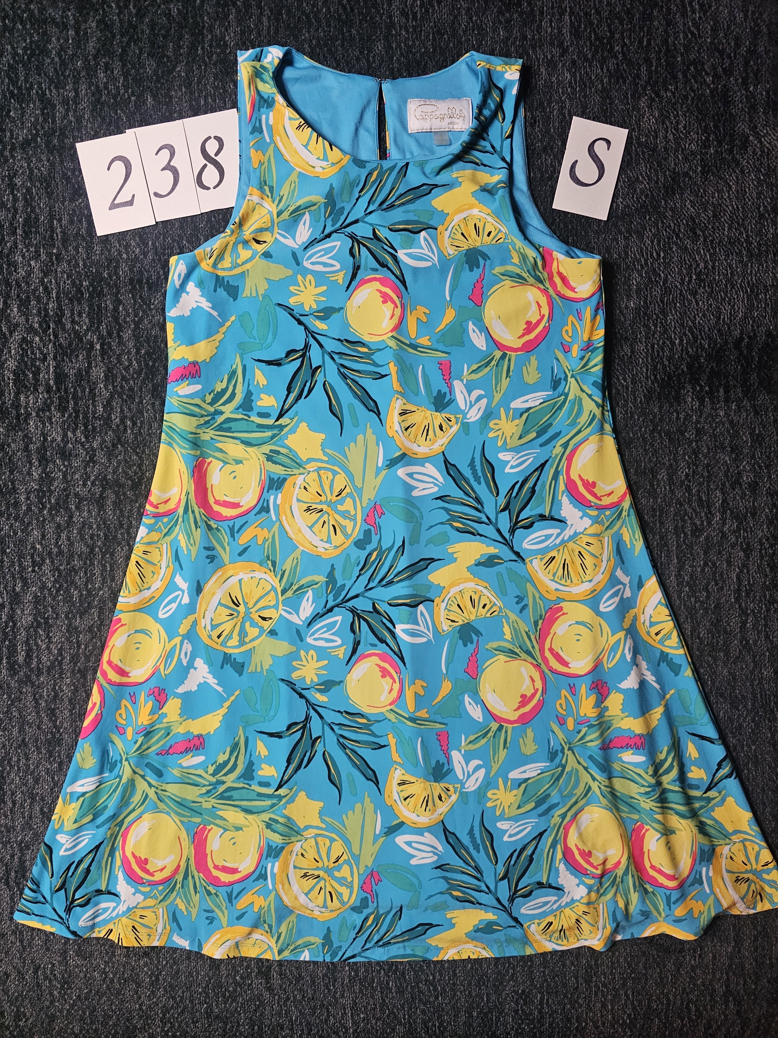 Pappagallo Turquoise Lemon Print Sleeveless A-Line Dress